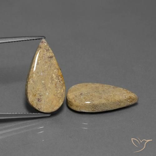 17.13ctw Natürlicher Mehrfarbig Korallen-Fossil, Birnenform, Lichtundurchlässig
