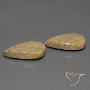 17.13 ct natürliche Mehrfarbig Korallen-Fossil-Edelsteine, Birnenform, Lichtundurchlässig