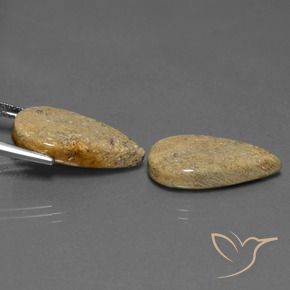 17.13 ct natürliche Mehrfarbig Korallen-Fossil-Edelsteine, Birnenform, Lichtundurchlässig