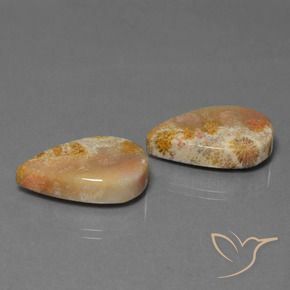 27.92 ct natürliche Mehrfarbig Korallen-Fossil-Edelsteine, Birnenform, Lichtundurchlässig