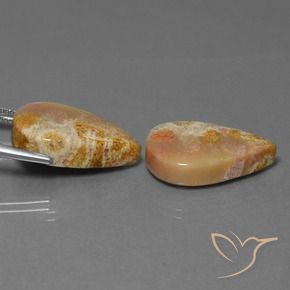 27.92 ct natürliche Mehrfarbig Korallen-Fossil-Edelsteine, Birnenform, Lichtundurchlässig