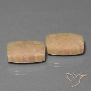 24.97 ct natürliche Mehrfarbig Korallen-Fossil-Edelsteine, Kissen, Lichtundurchlässig
