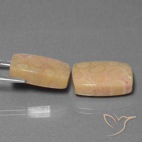 24.97 ct natürliche Mehrfarbig Korallen-Fossil-Edelsteine, Kissen, Lichtundurchlässig