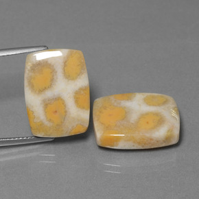  ct natürliche Mehrfarbig Korallen-Fossil-Edelsteine, Kissenschliff, Lichtundurchlässig