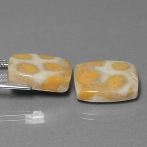  ct natürliche Mehrfarbig Korallen-Fossil-Edelsteine, Kissenschliff, Lichtundurchlässig