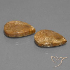 21.78 ct natürliche Mehrfarbig Korallen-Fossil-Edelsteine, Birnenform, Lichtundurchlässig