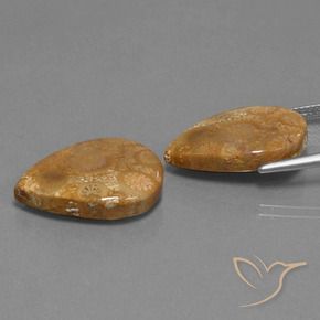 21.78 ct natürliche Mehrfarbig Korallen-Fossil-Edelsteine, Birnenform, Lichtundurchlässig