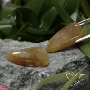 22.09 ct natürliche Mehrfarbig Korallen-Fossil-Edelsteine, Fantasie, Lichtundurchlässig