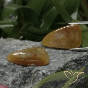 22.09 ct natürliche Mehrfarbig Korallen-Fossil-Edelsteine, Fantasie, Lichtundurchlässig