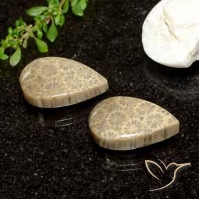 26.61 ct natürliche Mehrfarbig Korallen-Fossil-Edelsteine, Birnenform, Lichtundurchlässig