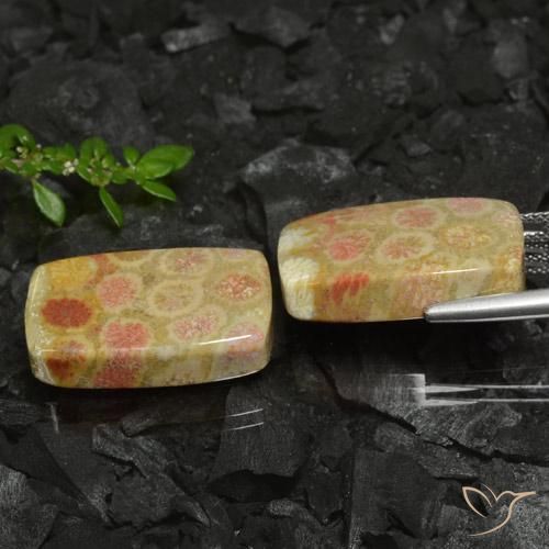 35.26 ct natürliche Mehrfarbig Korallen-Fossil-Edelsteine, Kissen, Lichtundurchlässig