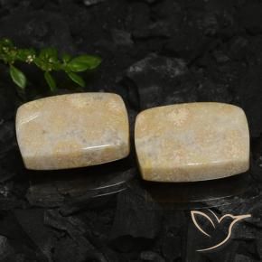 30.12 ct natürliche Mehrfarbig Korallen-Fossil-Edelsteine, Kissen, Lichtundurchlässig