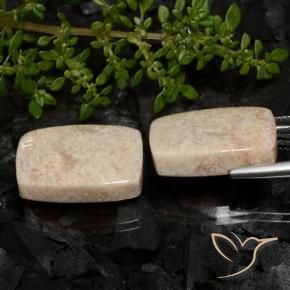 33.38 ct natürliche Mehrfarbig Korallen-Fossil-Edelsteine, Kissen, Lichtundurchlässig