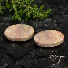 22.59 ct natürliche Mehrfarbig Korallen-Fossil-Edelsteine, Oval, Lichtundurchlässig
