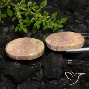22.59 ct natürliche Mehrfarbig Korallen-Fossil-Edelsteine, Oval, Lichtundurchlässig