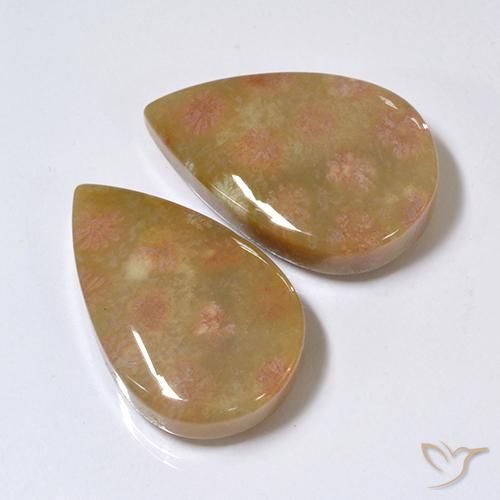 26.41 ct natürliche Mehrfarbig Korallen-Fossil-Edelsteine, Birnenform, Lichtundurchlässig