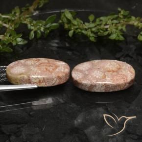 19.81 ct natürliche Mehrfarbig Korallen-Fossil-Edelsteine, Oval, Lichtundurchlässig
