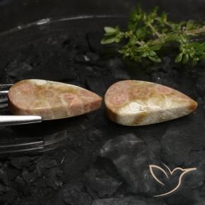 27.69 ct natürliche Mehrfarbig Korallen-Fossil-Edelsteine, Birnenform, Lichtundurchlässig