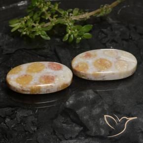 22.45 ct natürliche Mehrfarbig Korallen-Fossil-Edelsteine, Oval, Lichtundurchlässig