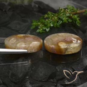 33.89 ct natürliche Mehrfarbig Korallen-Fossil-Edelsteine, Oval, Lichtundurchlässig