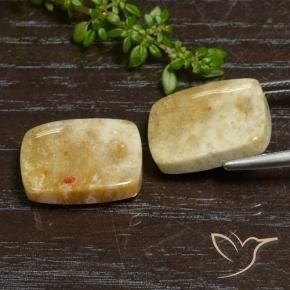 21.65 ct natürliche Mehrfarbig Korallen-Fossil-Edelsteine, Kissen, Lichtundurchlässig