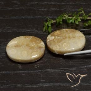 33.11 ct natürliche Mehrfarbig Korallen-Fossil-Edelsteine, Oval, Lichtundurchlässig