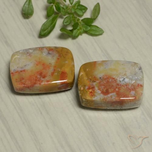 22.48 ct natürliche Mehrfarbig Korallen-Fossil-Edelsteine, Kissen, Lichtundurchlässig