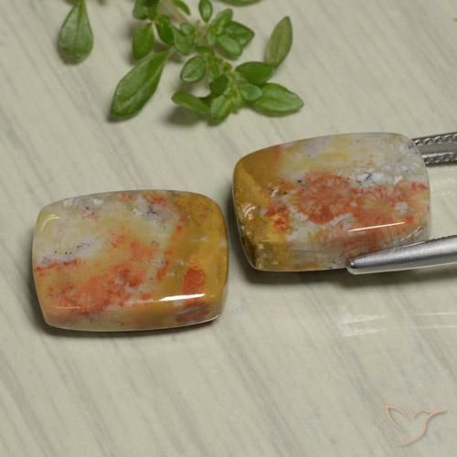 22.48 ct natürliche Mehrfarbig Korallen-Fossil-Edelsteine, Kissen, Lichtundurchlässig