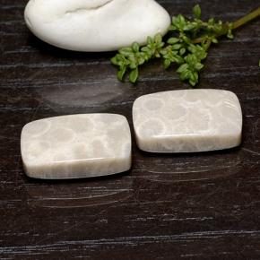 25.59 ct natürliche Mehrfarbig Korallen-Fossil-Edelsteine, Kissenschliff, Lichtundurchlässig