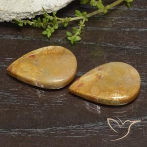 23.49 ct natürliche Mehrfarbig Korallen-Fossil-Edelsteine, Birnenform, Lichtundurchlässig