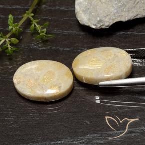 20.54 ct natürliche Mehrfarbig Korallen-Fossil-Edelsteine, Oval, Lichtundurchlässig