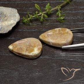 25.11 ct natürliche Mehrfarbig Korallen-Fossil-Edelsteine, Birnenform, Lichtundurchlässig