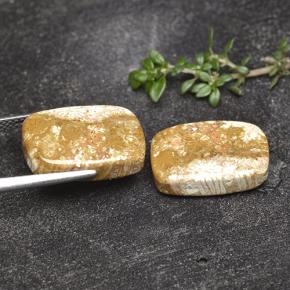 16.41 ct natürliche Mehrfarbig Korallen-Fossil-Edelsteine, Kissenschliff, Lichtundurchlässig