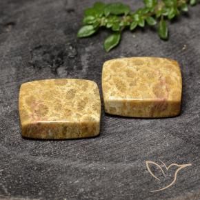 29.63 ct natürliche Mehrfarbig Korallen-Fossil-Edelsteine, Kissen, Lichtundurchlässig