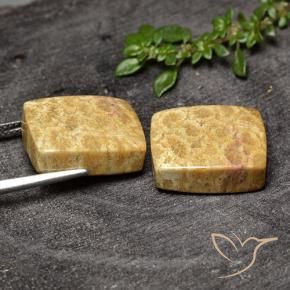 29.63 ct natürliche Mehrfarbig Korallen-Fossil-Edelsteine, Kissen, Lichtundurchlässig