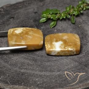 30.80 ct natürliche Mehrfarbig Korallen-Fossil-Edelsteine, Kissen, Lichtundurchlässig