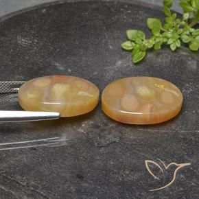 25.17 ct natürliche Mehrfarbig Korallen-Fossil-Edelsteine, Oval, Lichtdurchlässig