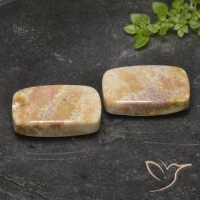 29.36 ct natürliche Mehrfarbig Korallen-Fossil-Edelsteine, Kissen, Lichtundurchlässig