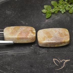 29.36 ct natürliche Mehrfarbig Korallen-Fossil-Edelsteine, Kissen, Lichtundurchlässig