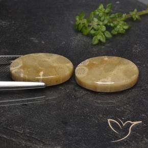 21.72 ct natürliche Mehrfarbig Korallen-Fossil-Edelsteine, Oval, Lichtundurchlässig