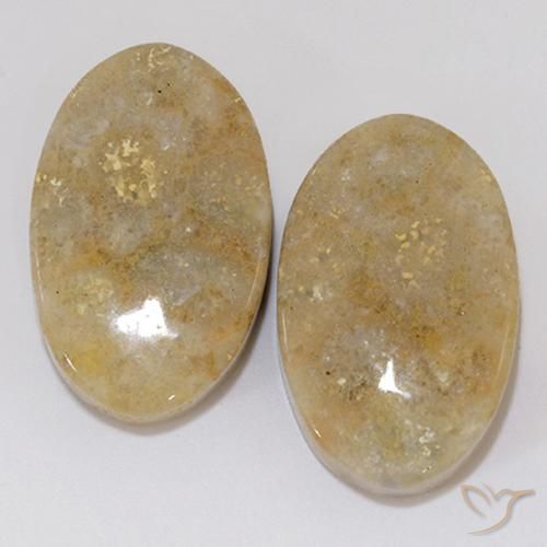 27.02ctw Natürlicher Mehrfarbig Korallen-Fossil, Oval, Lichtundurchlässig