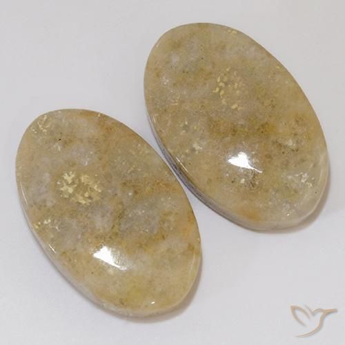 27.02 ct natürliche Mehrfarbig Korallen-Fossil-Edelsteine, Oval, Lichtundurchlässig
