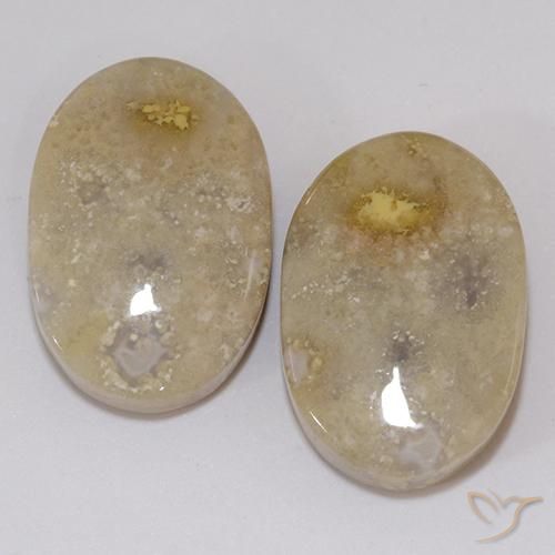 21.60ctw Natürlicher Mehrfarbig Korallen-Fossil, Oval, Lichtundurchlässig