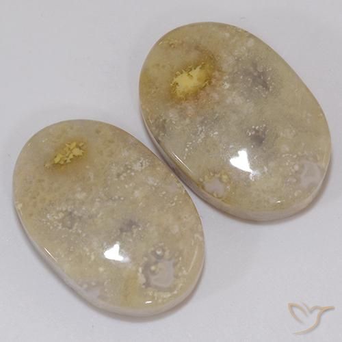21.60 ct natürliche Mehrfarbig Korallen-Fossil-Edelsteine, Oval, Lichtundurchlässig
