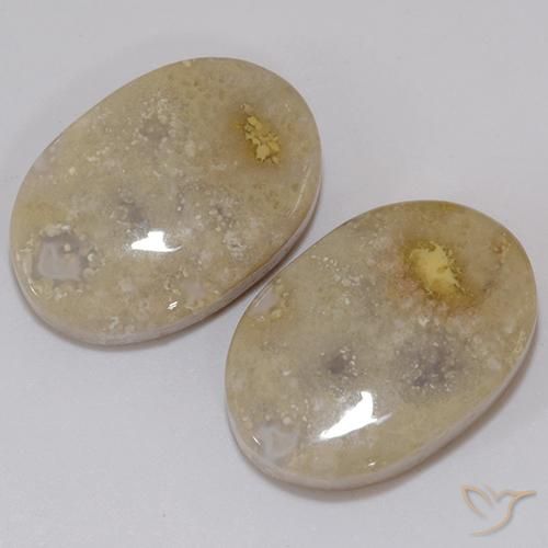 21.60 ct natürliche Mehrfarbig Korallen-Fossil-Edelsteine, Oval, Lichtundurchlässig