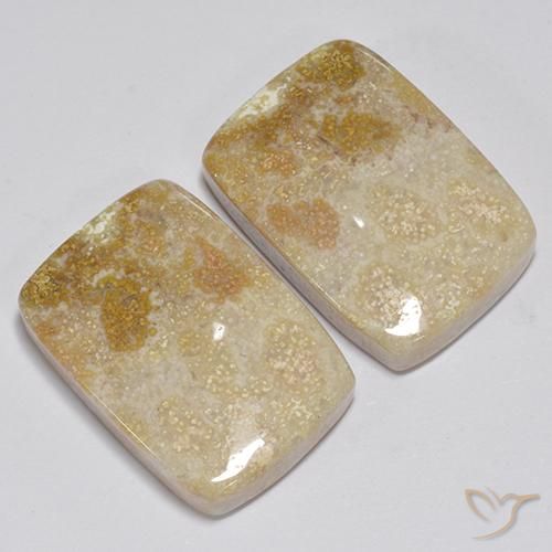 31.35 ct natürliche Mehrfarbig Korallen-Fossil-Edelsteine, Kissen, Lichtundurchlässig