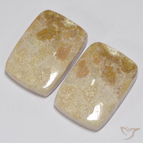 31.35 ct natürliche Mehrfarbig Korallen-Fossil-Edelsteine, Kissen, Lichtundurchlässig