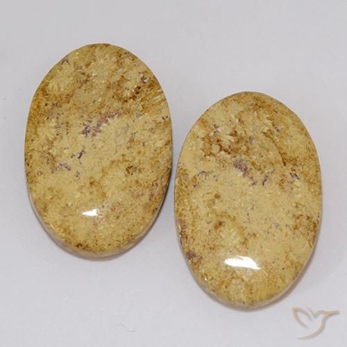 19.18ctw Natürlicher Mehrfarbig Korallen-Fossil, Oval, Lichtundurchlässig