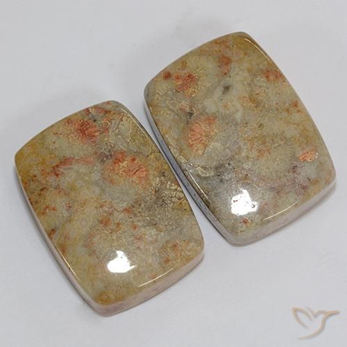 46.76 ct natürliche Mehrfarbig Korallen-Fossil-Edelsteine, Kissen, Lichtundurchlässig