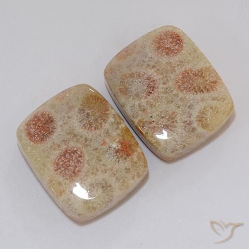 37.10 ct natürliche Mehrfarbig Korallen-Fossil-Edelsteine, Kissen, Lichtundurchlässig